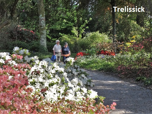 Trelissick Gardens
